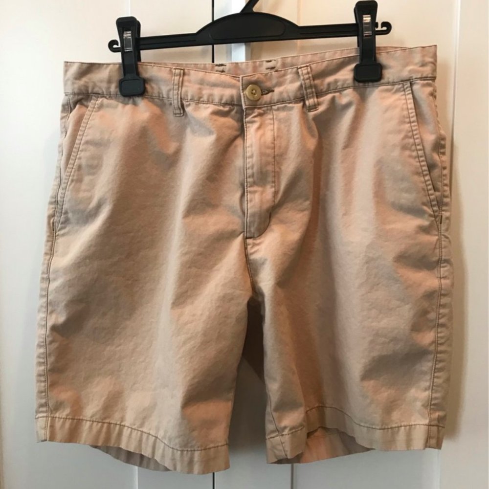 Patagonia Organic Cotton Stand-Up Shorts
